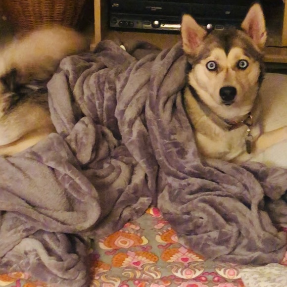 My pets! - Picture 3 of 5